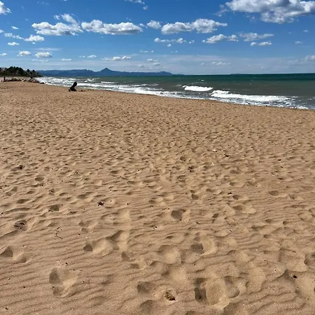 Sofia El Palmar *